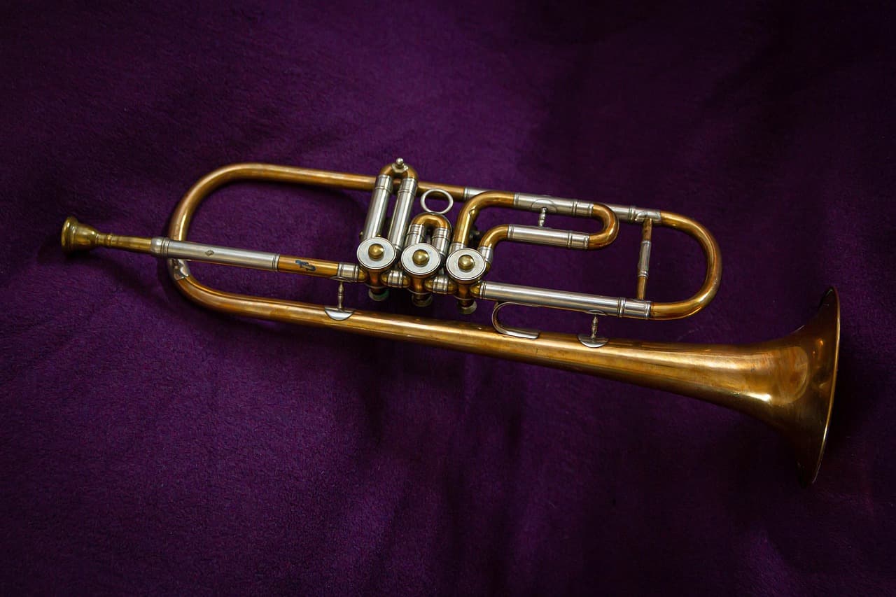 Trumpet Fundamentals – Complete Guide from Beginner to Pro