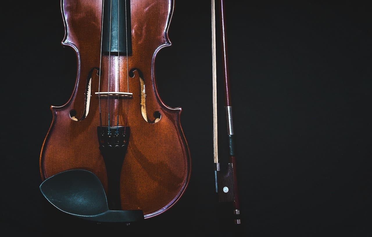 Introduction to the Violin – Your Musical Journey Begins